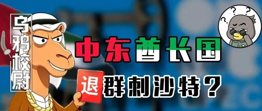 狗大户二号退群 OPEC，中东王爷们打起来了？