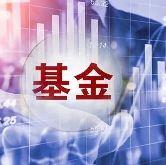 “翻倍基”出现！如何抓住、抓稳牛股？顶级基金三大操盘心法曝光