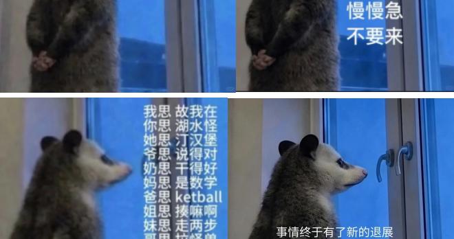 “背手负鼠”火了，网友到处寻图！它到底什么来头？