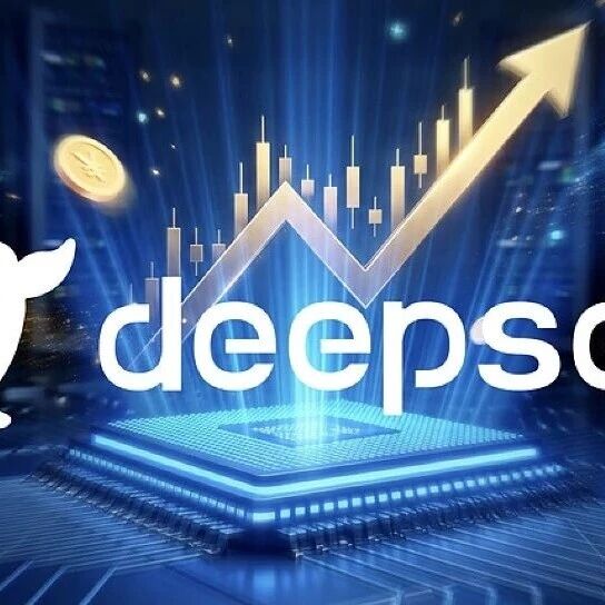 掮客、份额与百亿资金：DeepSeek融资实录