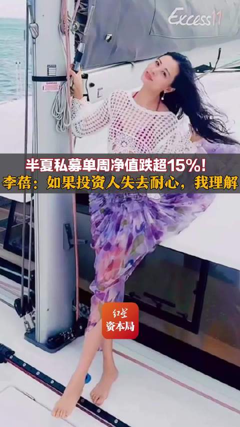 半夏净值骤跌15%！李蓓警告：追AI需谨慎