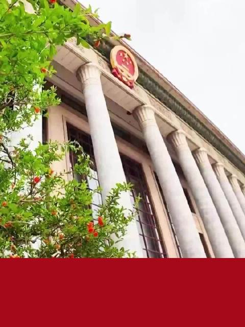 近镜头｜大国外交的“中国时间”