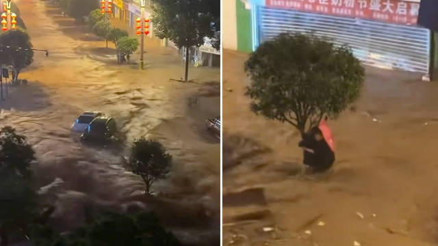 四川马边暴雨有人抱树求生