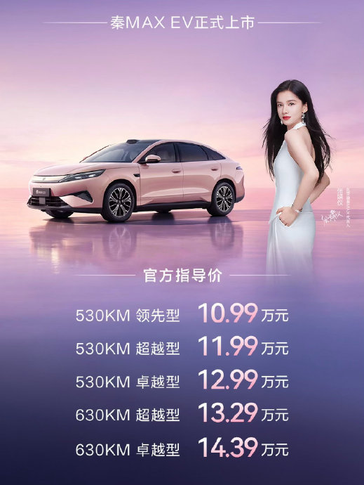10万级B级新能源轿车怎么选？比亚迪秦MAX空间、续航、充电实测对比