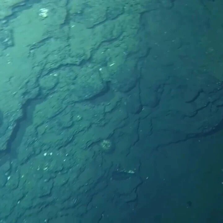 我国发现世界级规模的深海矿床