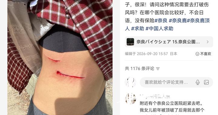 中国游客奈良喂鹿遭公鹿袭击受伤，就诊花费两千余元