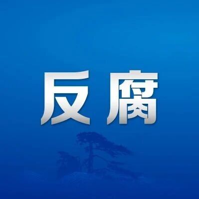孙文忠被查