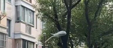 上海中介哄骗老人卖房无效