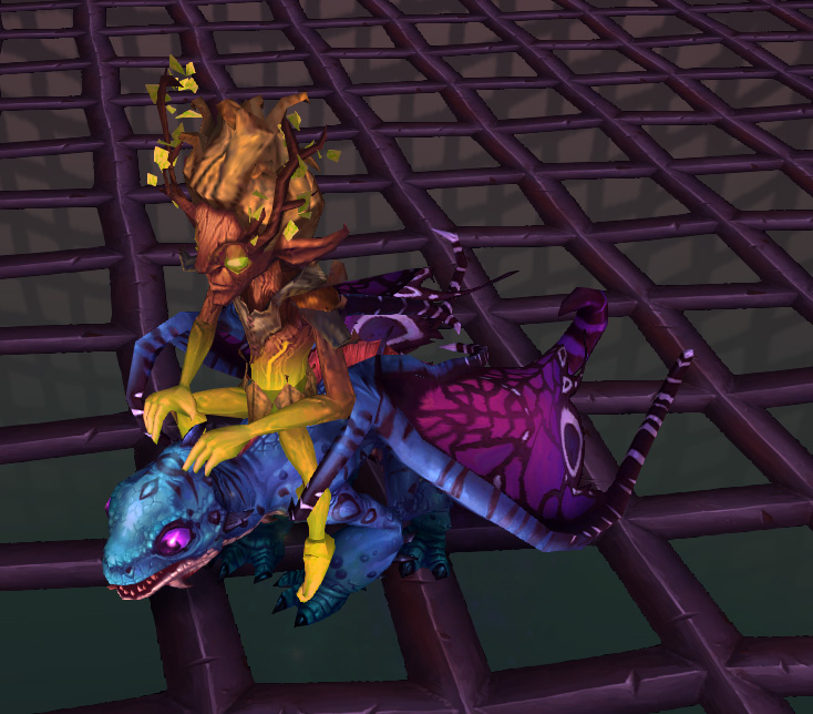 骑着魔法灵龙的蓟叶探险家