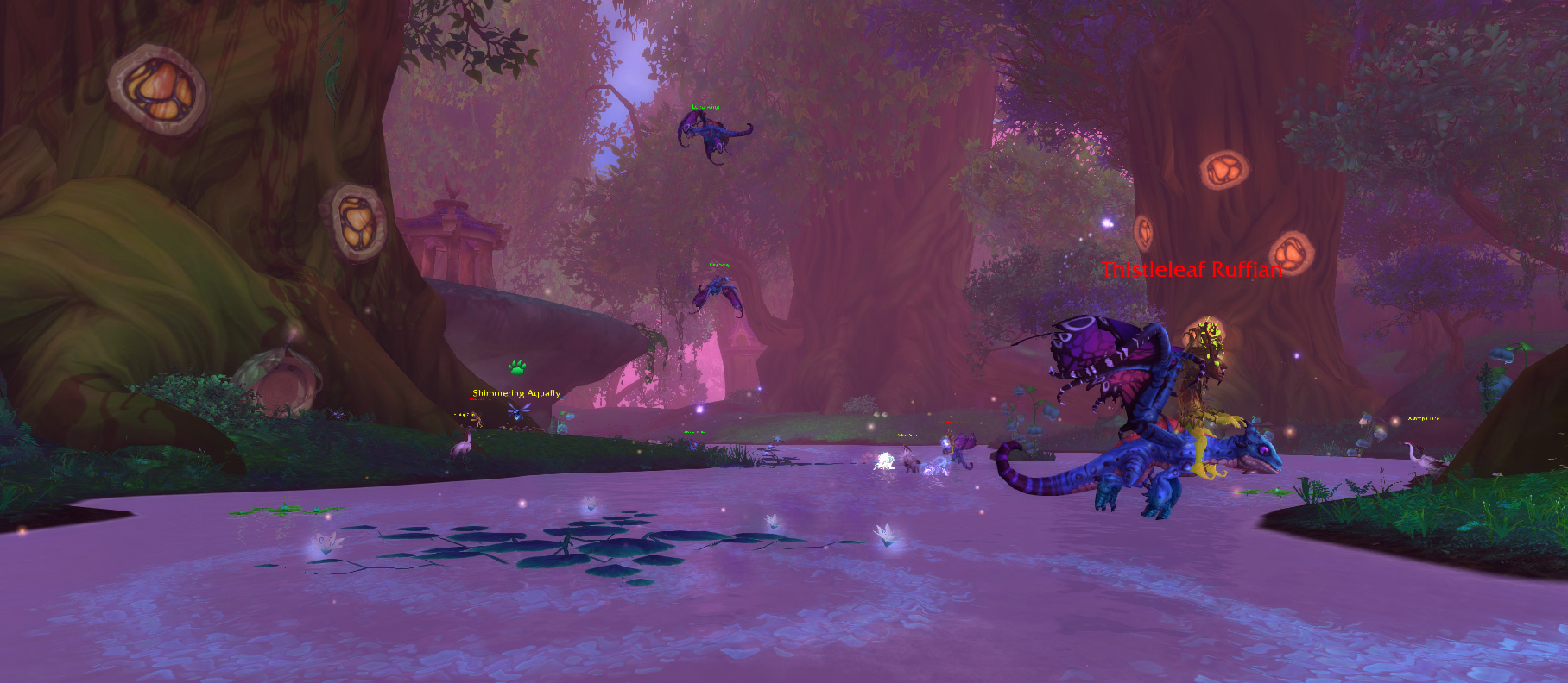 骑着魔法灵龙的蓟叶探险家