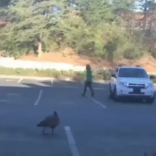 所以吓的裤子都掉了？