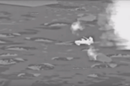 游戏画面实在逼真