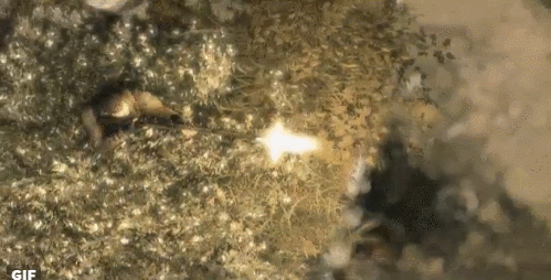 战场幽灵一枪制敌