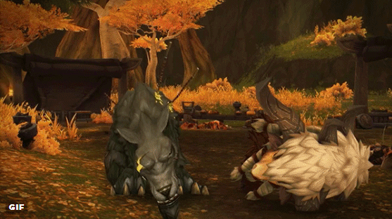 557_312gif 动态图 动图