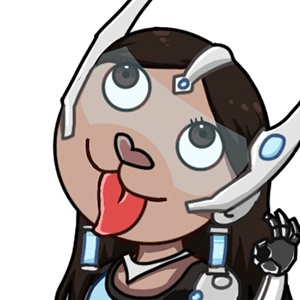 二哈版秩序之光