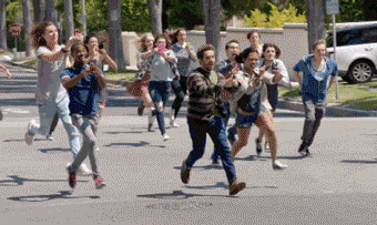 前面有只野生的骚当！快去抓啊！