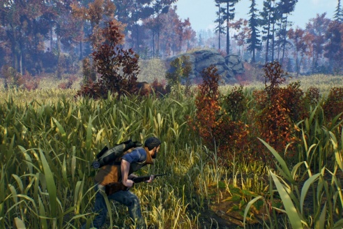 《辽阔旷野》画面前瞻