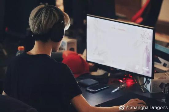 （图片来源：@ShanghaiDragons）