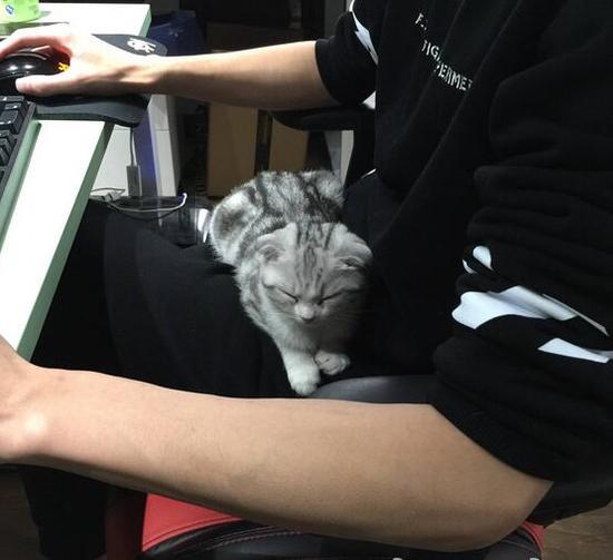 LOL女粉丝告白Koro1 这世界上你最珍贵