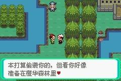 口袋妖怪漆黑的魅影图文攻略
