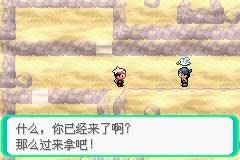 口袋妖怪漆黑的魅影图文攻略