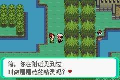 口袋妖怪漆黑的魅影图文攻略