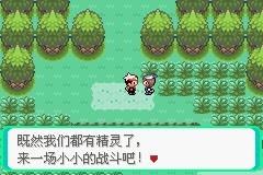 口袋妖怪漆黑的魅影图文攻略