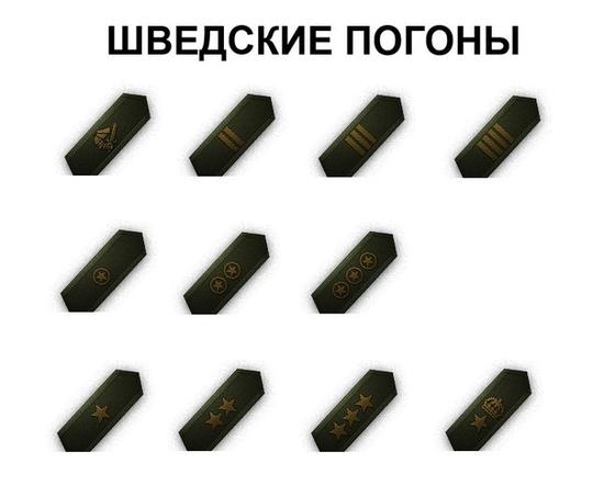 乘员造型满分 瑞典击杀标识竟是黄金环