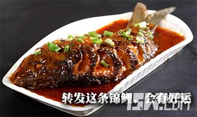 我来决定你的牌运