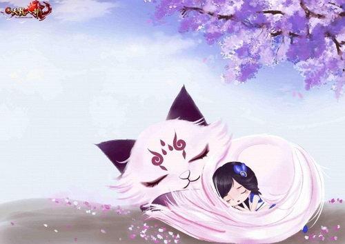 小猫咪我们做朋友吧 