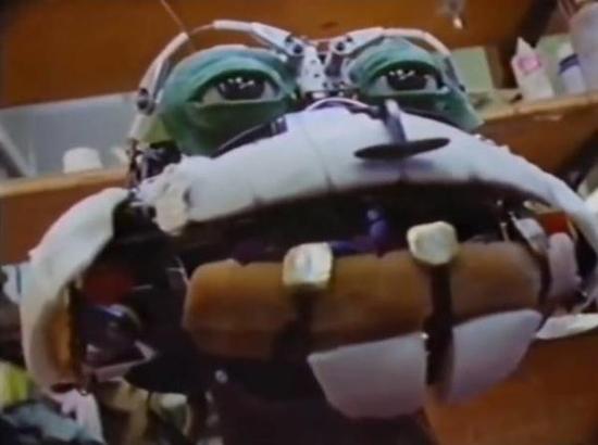 关于《忍者神龟》的记忆，从入门到精通