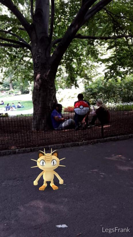 [图]停不下来 纽约中央公园变《精灵宝可梦GO》战场