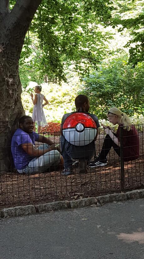 [图]停不下来 纽约中央公园变《精灵宝可梦GO》战场