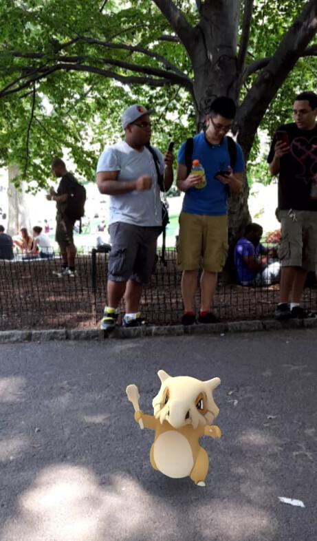 [图]停不下来 纽约中央公园变《精灵宝可梦GO》战场