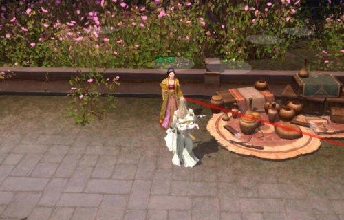 奇遇兽王佩图文攻略