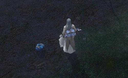 奇遇兽王佩图文攻略