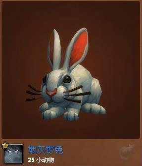 魔兽达拉然隐藏宠物攻略 炫酷烟灰野兔登场
