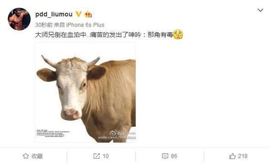 RNG大胜大师兄哀嚎！ PDD：牛魔王的角有毒啊！