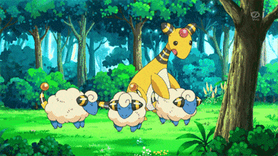 居然连羊都不放过！