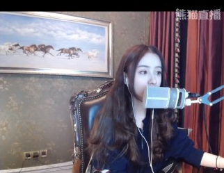 图片十一.png