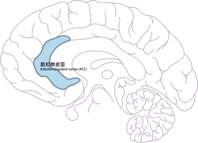 游戏神经科学：游戏怎样改变了你的大脑？ ...