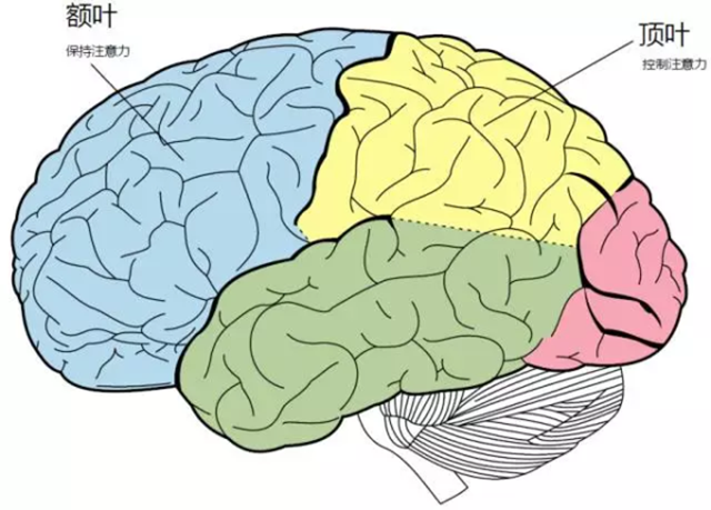 游戏神经科学：游戏怎样改变了你的大脑？ ...