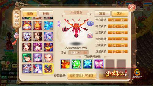 梦幻诛仙手游65级宠物九天灵鸟培养攻略