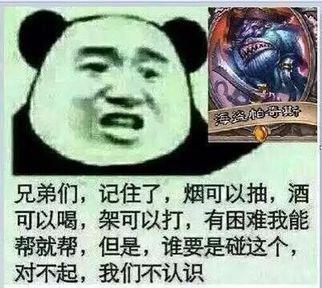 　　猫猫觉得，这张卡如果在上其他海盗前没抽到手中，那么就是对手蛋疼，毕竟一只免费的冲锋小野菊还是不容小觑的。