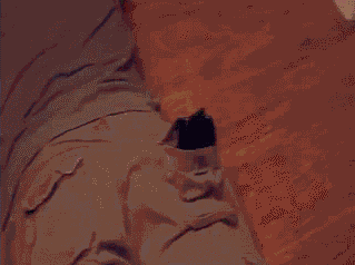 Steam冬季大促将在12月22日正式开启