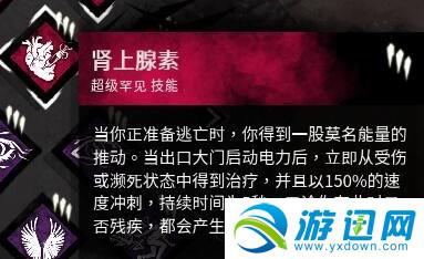 肾上腺素:最好是在车队的情况下带