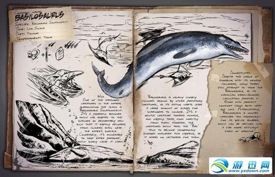 　　龙王鲸抓取方法