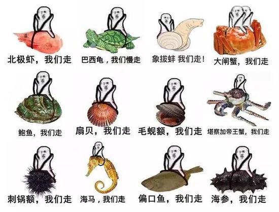 【升级版】