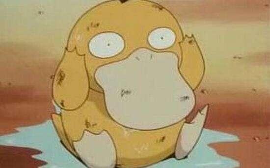 (毛毛鸭：关我毛事?老怼：对，说的就是你的毛。)