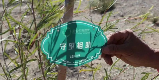  图源 | 中国绿化基金会